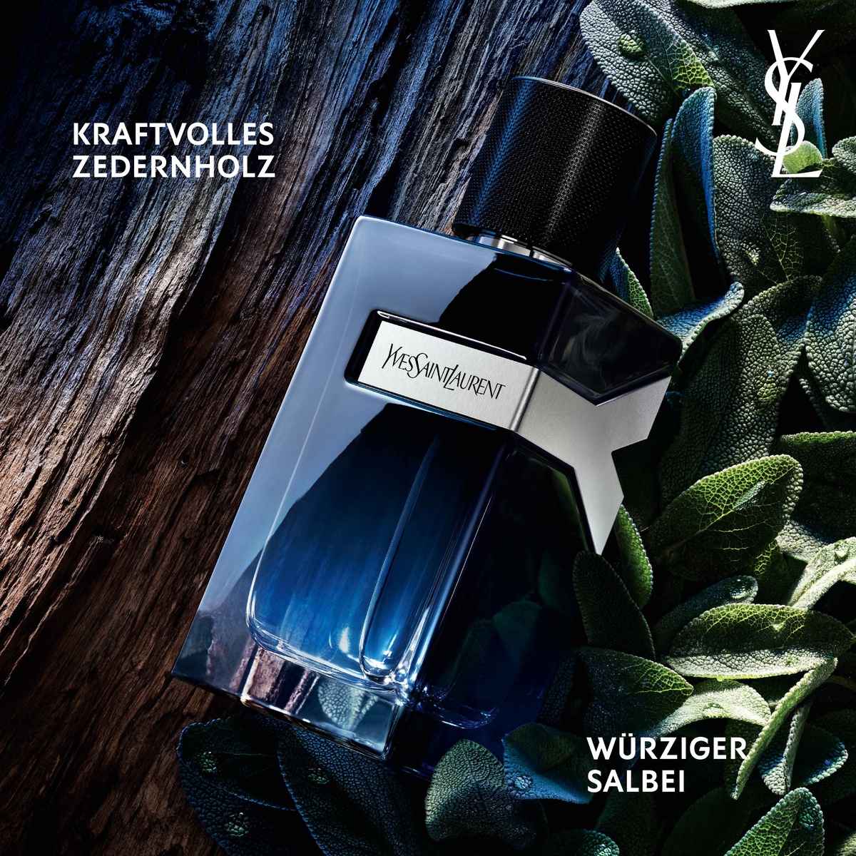 Yves Saint Laurent Y Eau de Parfum (EdP)
