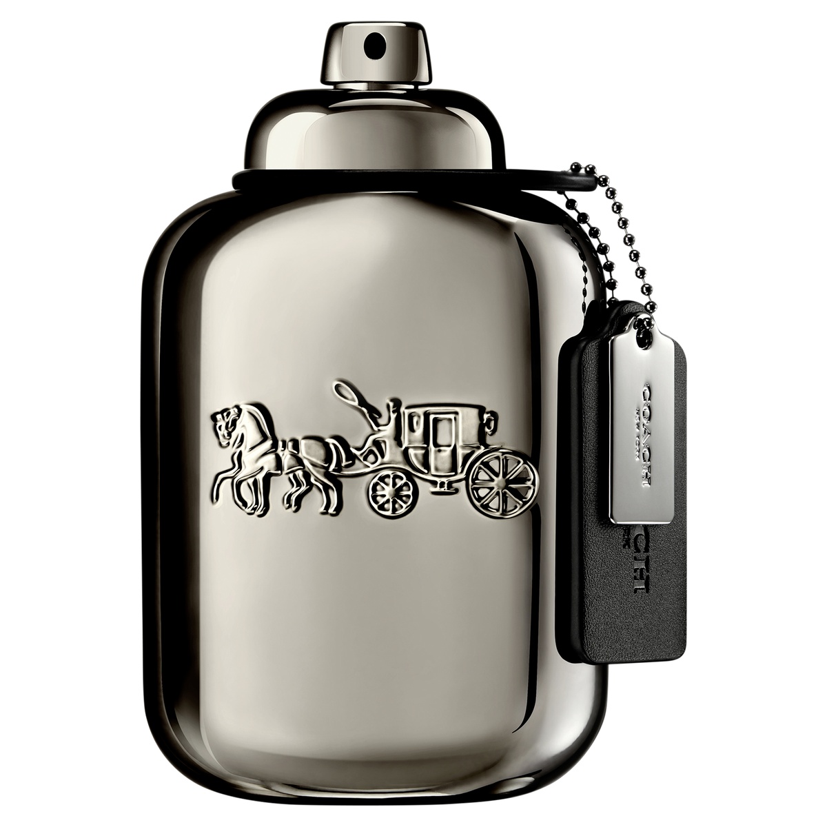 Coach Pure Platinum Parfum