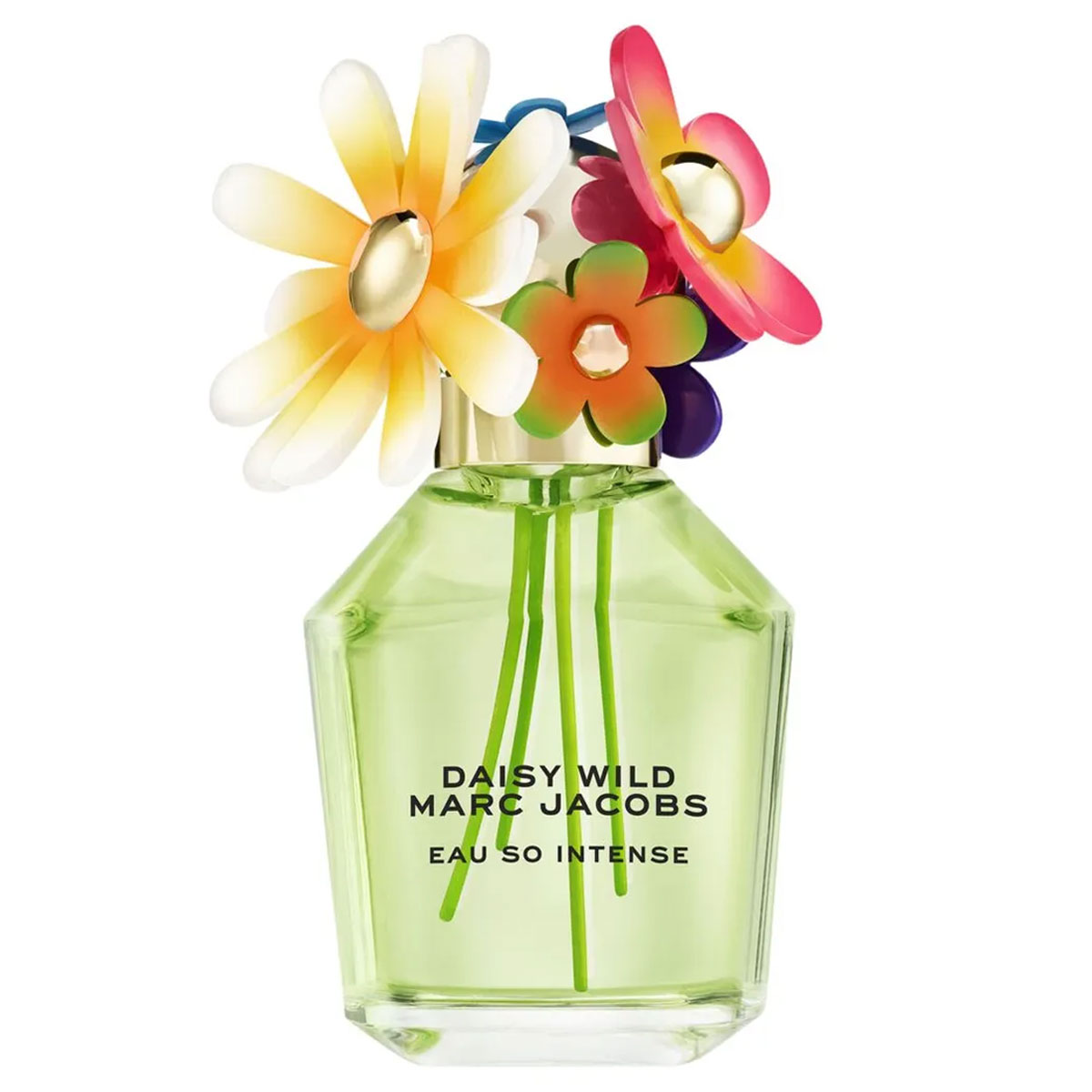 Marc Jacobs Daisy Wild Intense Eau de Parfum (EdP)