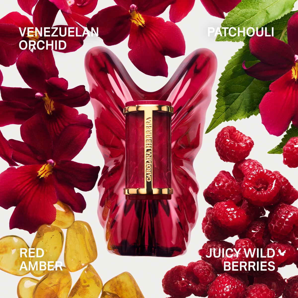 Carolina Herrera La Bomba Intensa Eau de Parfum (EdP)