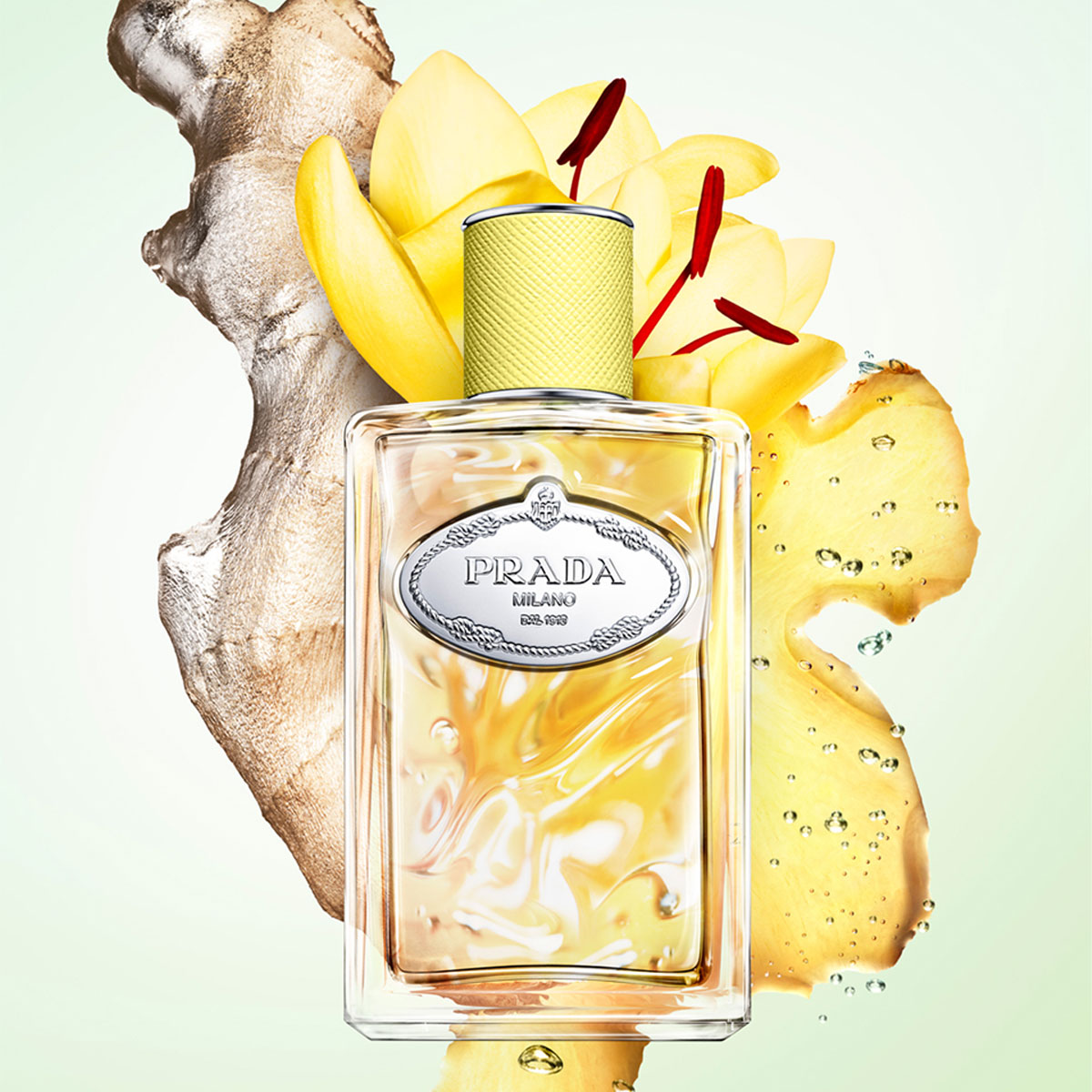 Prada Les Infusions Gingembre Eau de Parfum (EdP)