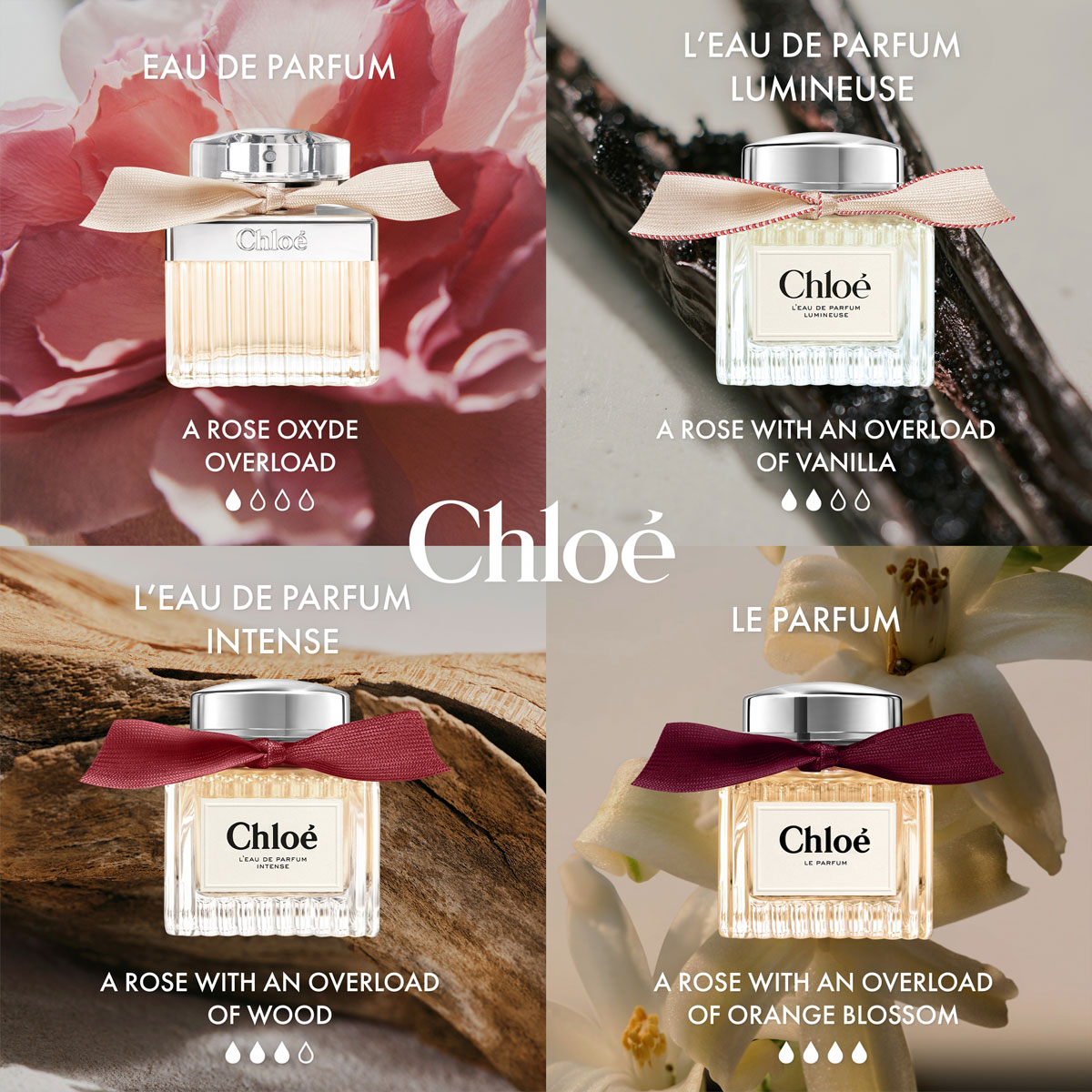 Chloé Chloé Le Parfum nachfüllbar