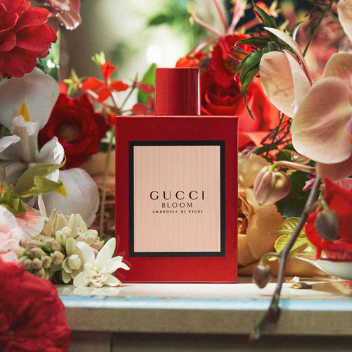 Gucci Bloom Ambrosia di Fiori Eau de Parfum (EdP)