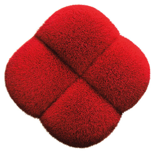 Shiseido Brush Polishing Face