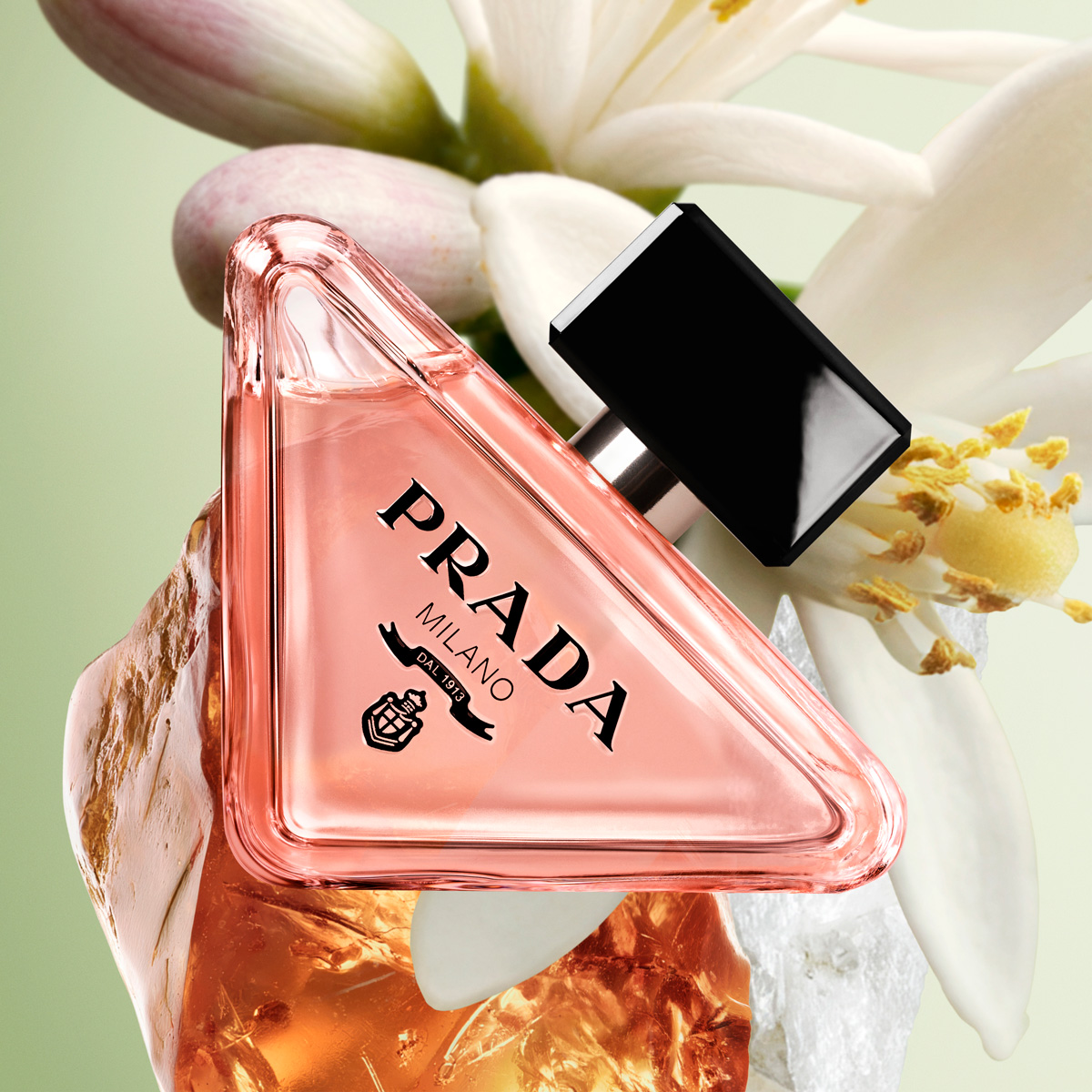 Prada Paradoxe Eau de Parfum (EdP) - nachfüllbar