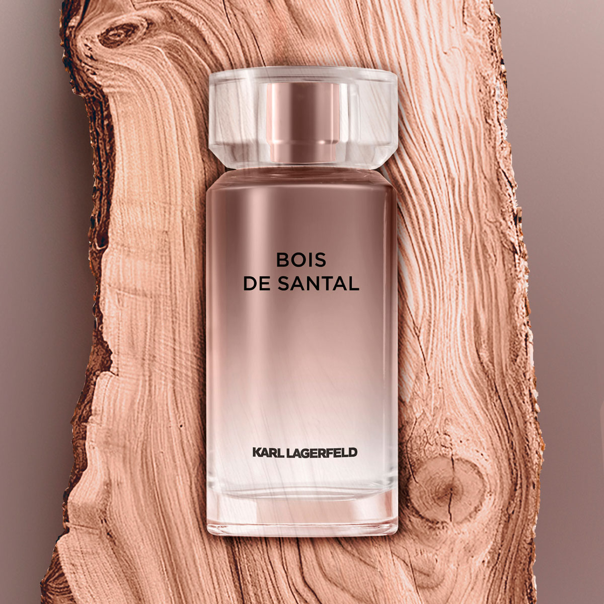 Karl Lagerfeld Bois de Santal Eau de Toilette (EdT) | 50 ml | 143205