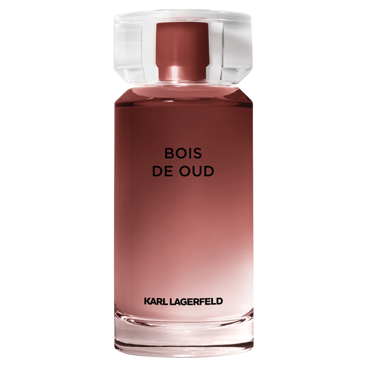 Karl Lagerfeld Bois de Oud Eau de Toilette (EdT)