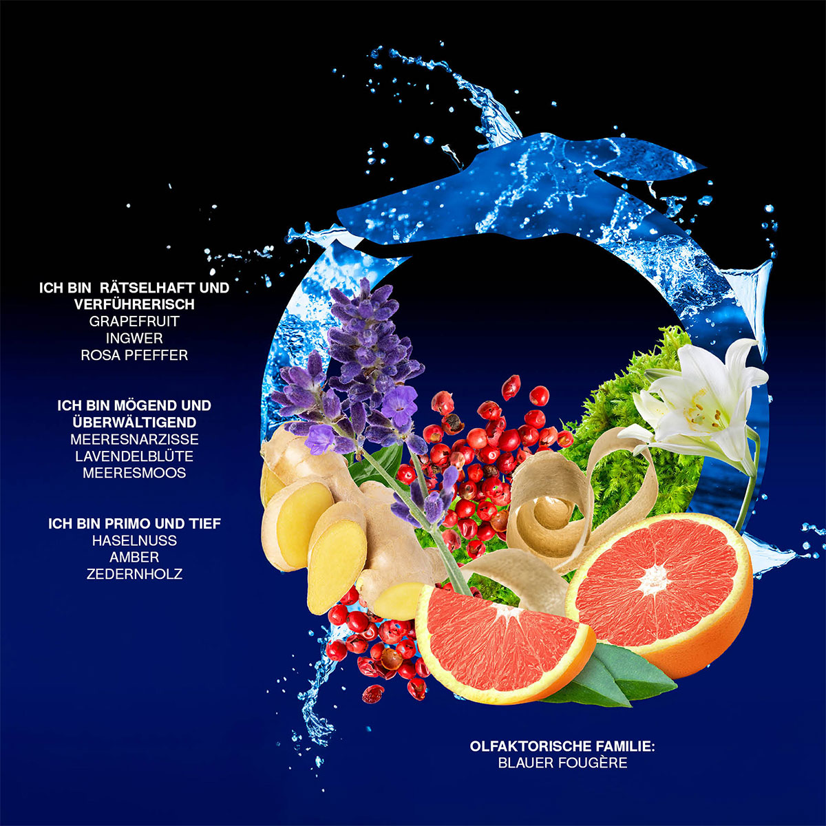 Trussardi Primo Notte Blu Eau de Parfum (EdP)