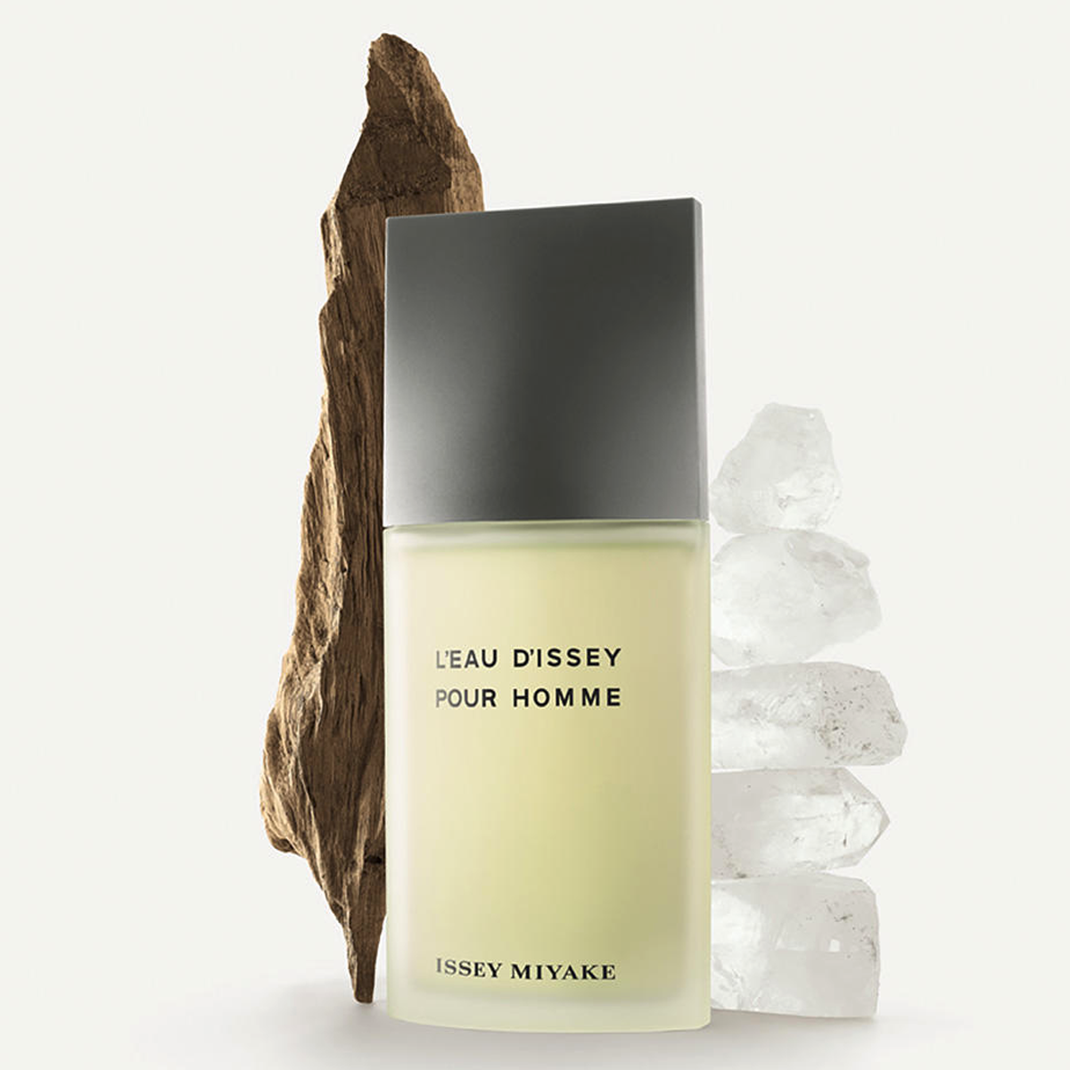 Issey Miyake L'Eau d'Issey Pour Homme Eau de Toilette (EdT)