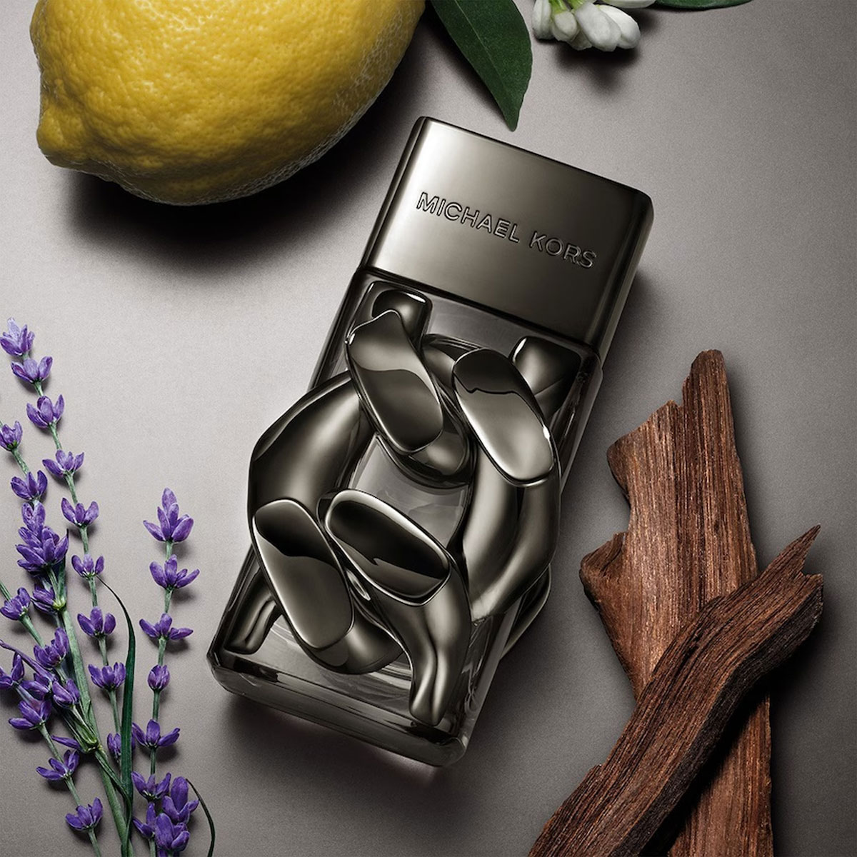Michael Kors pour homme absolu Eau de Parfum (EdP)