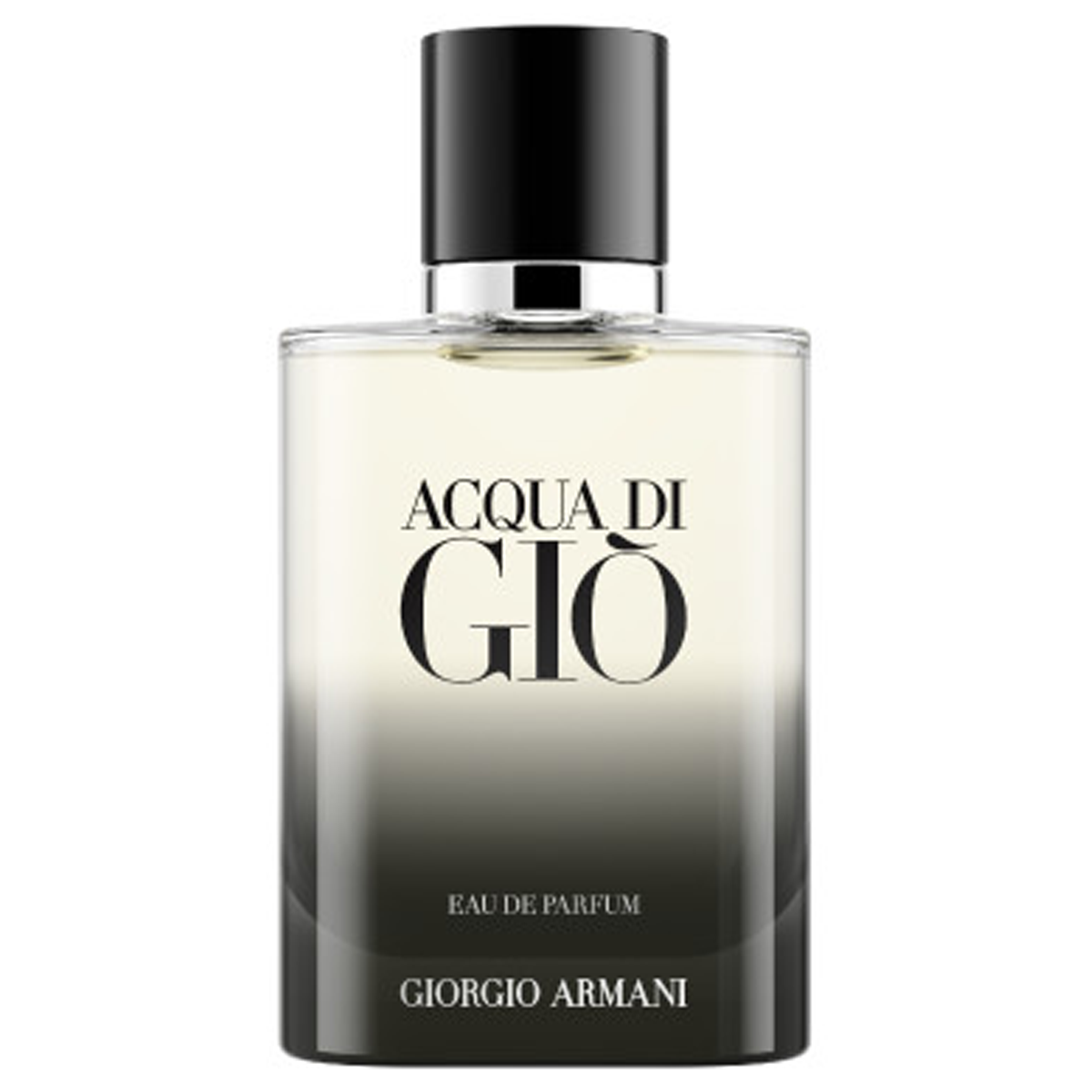 Armani Acqua di Giò Homme Eau de Parfum (EdP)