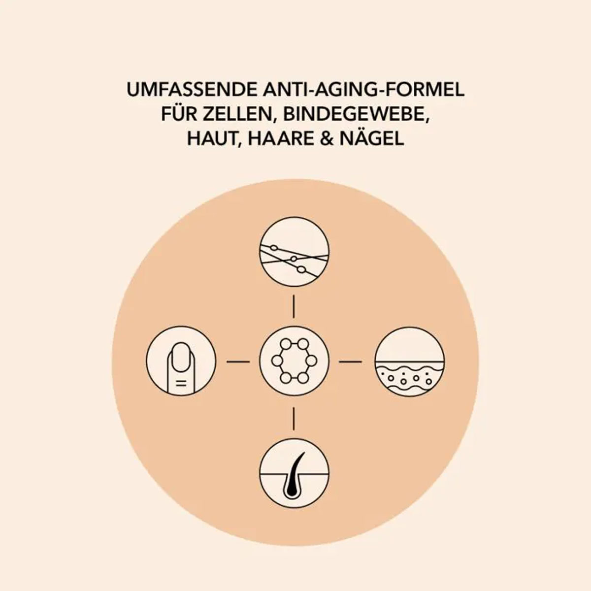 spermidinPLUS Spermidin Kapseln Kollagen Komplex