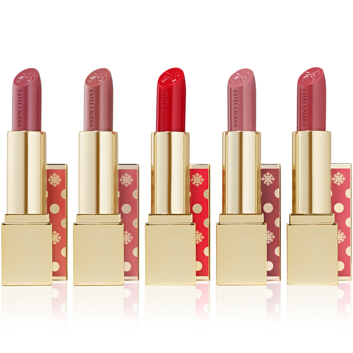Estée Lauder Pure Color Limited Edition Lipstick SET