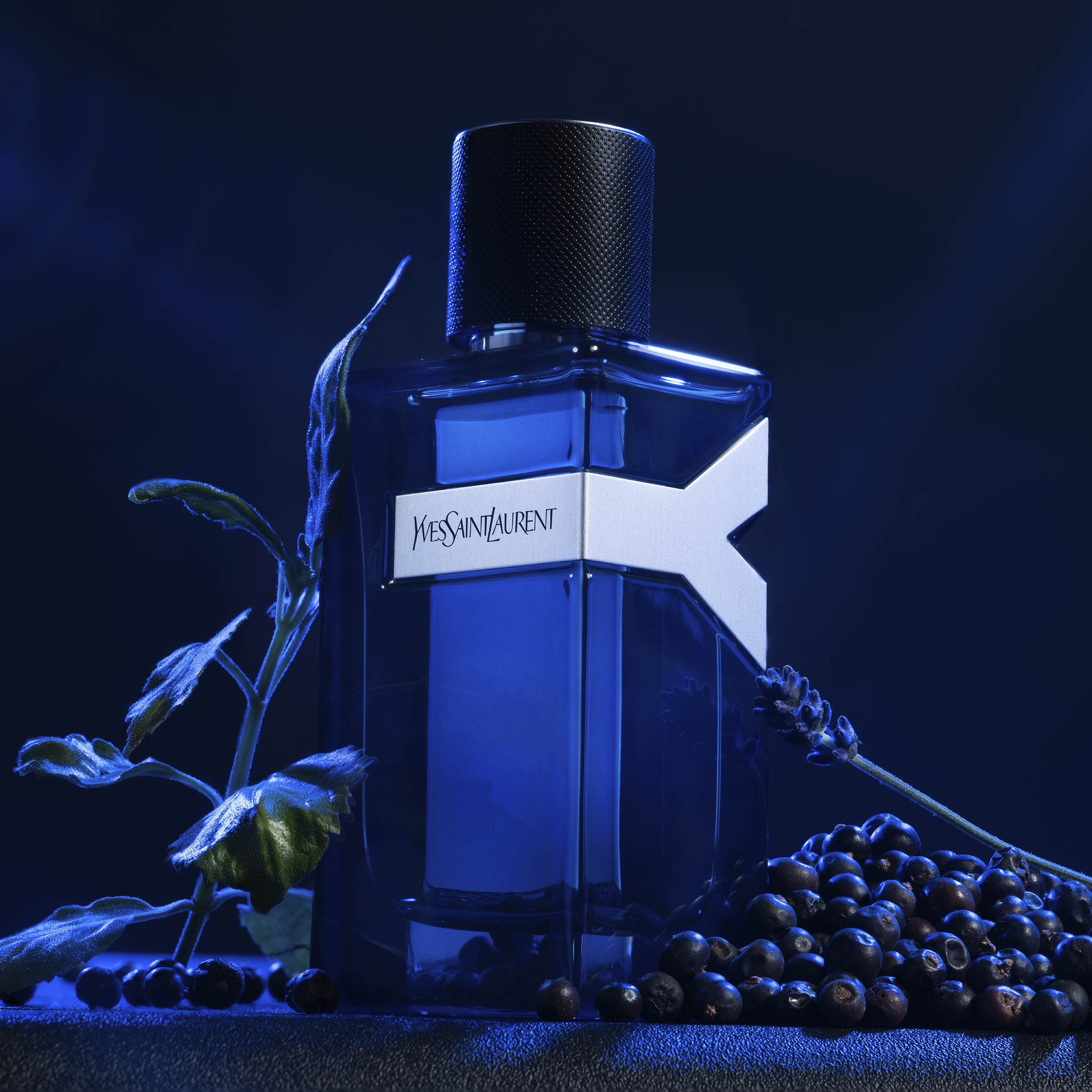 Yves Saint Laurent Y Intense Eau de Parfum (EdP)