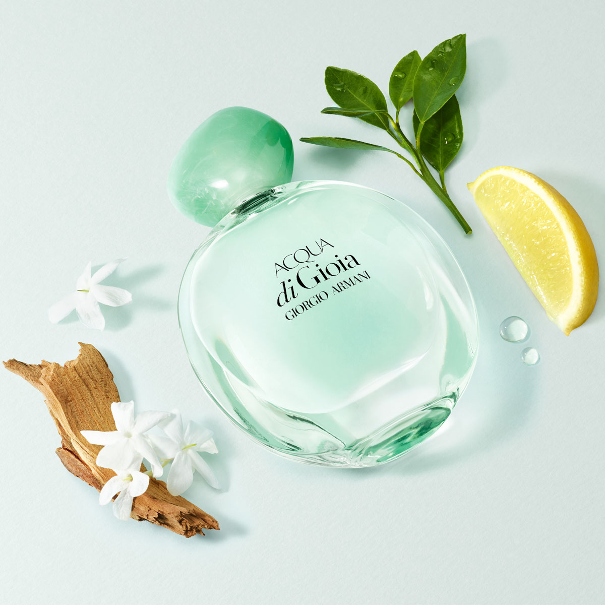 Armani Acqua di Gioia Eau de Parfum (EdP)