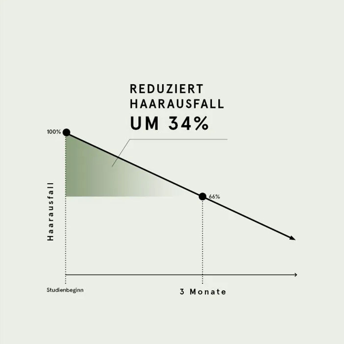 CBD Vital CBD Bio Kosmetik Haar Aktiv Serum