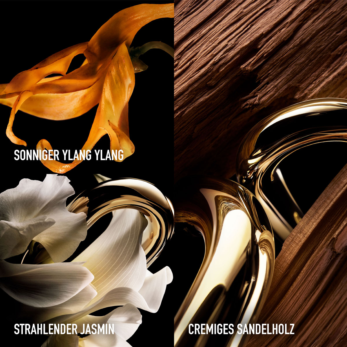 Rabanne Million Gold For Her Parfum (refillable)