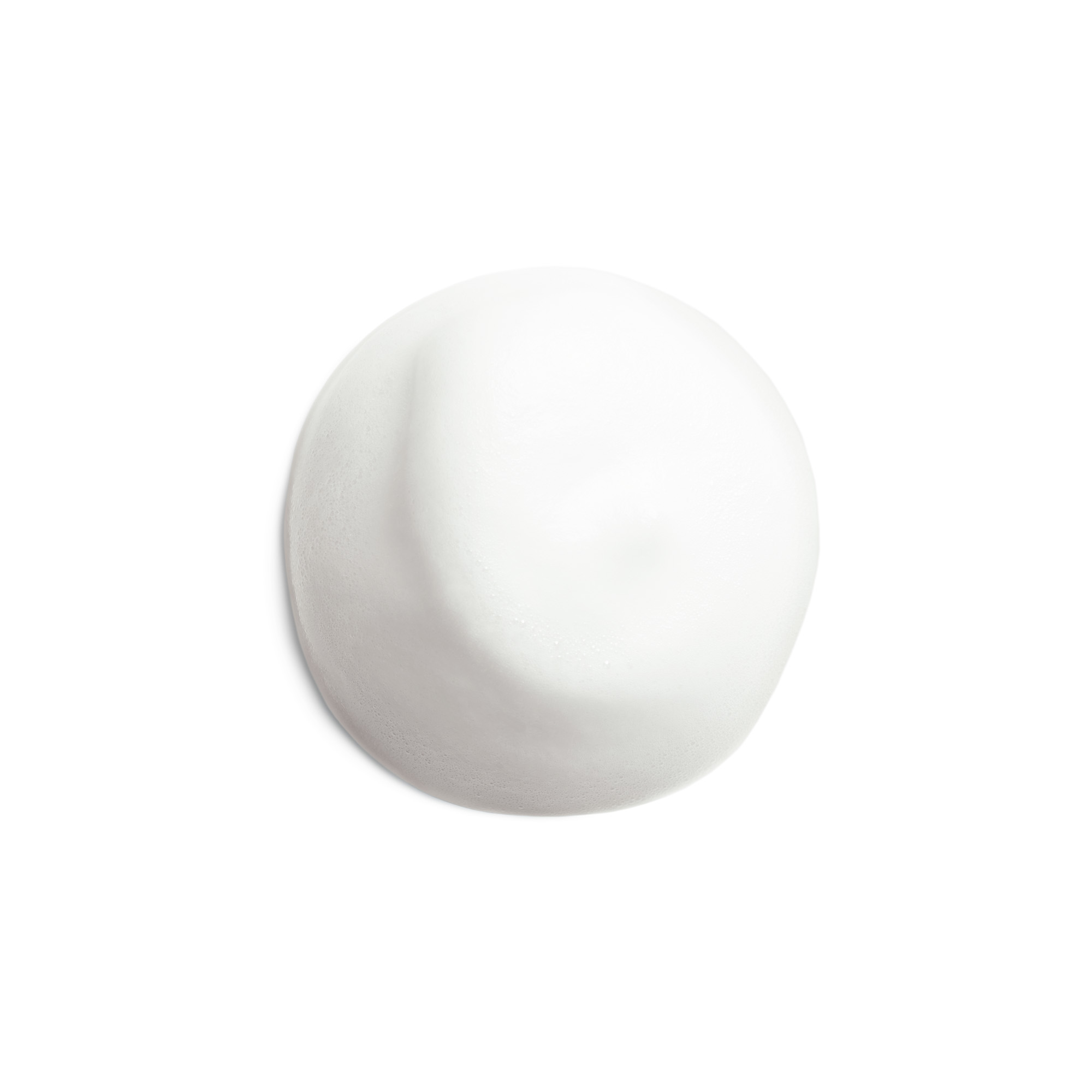 Shiseido Complete Cleansing Microfoam