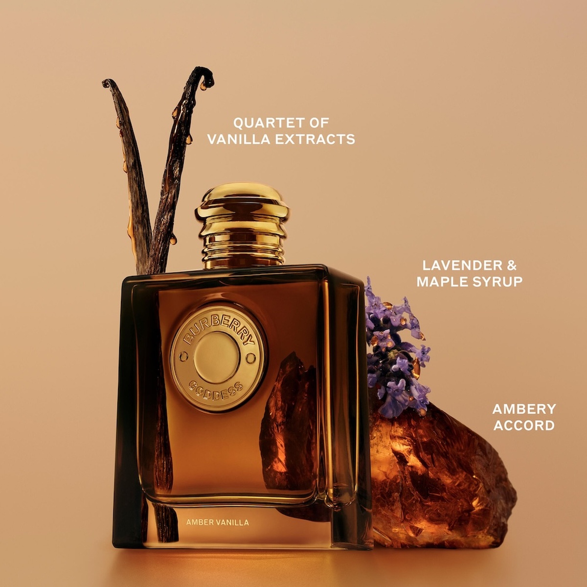Burberry Goddess Amber Vanilla Eau de Parfum (EdP) Intense