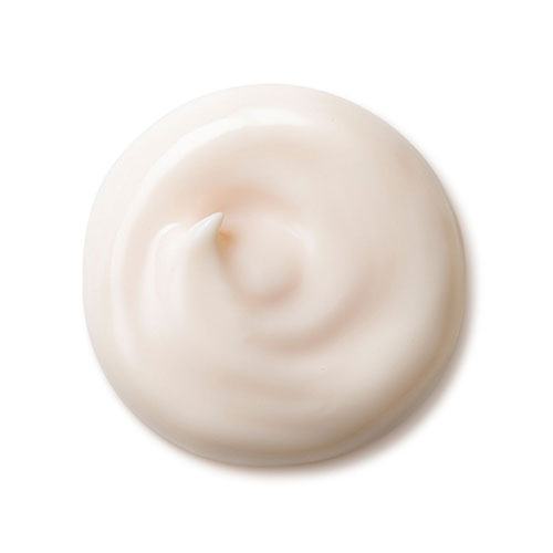 Shiseido Future Solution LX Total Protective Day Cream