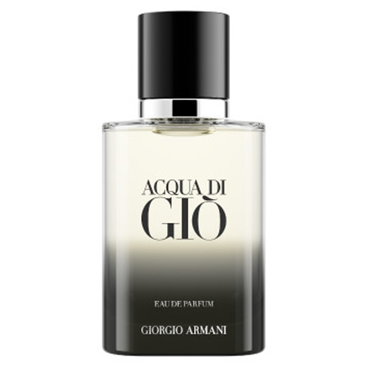 Armani Acqua di Giò Homme Eau de Parfum (EdP)