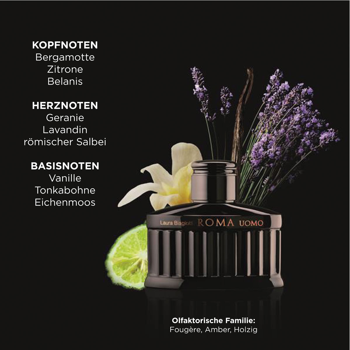 Laura Biagiotti Roma Uomo Nero Estremo Eau de Parfum (EdP) Intense