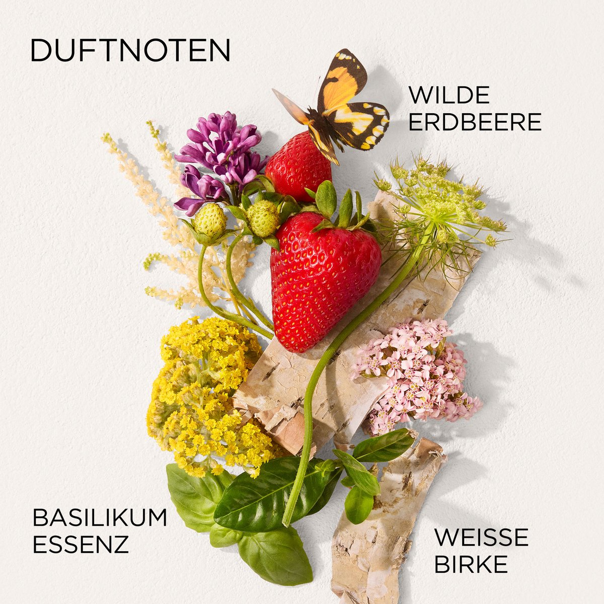 Elizabeth Arden Green Tea Strawberry Basil Eau de Toilette (EdT)