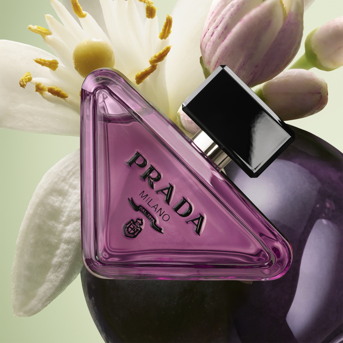 Prada Paradoxe Sweet Chemistry Eau de Parfum (EdP)
