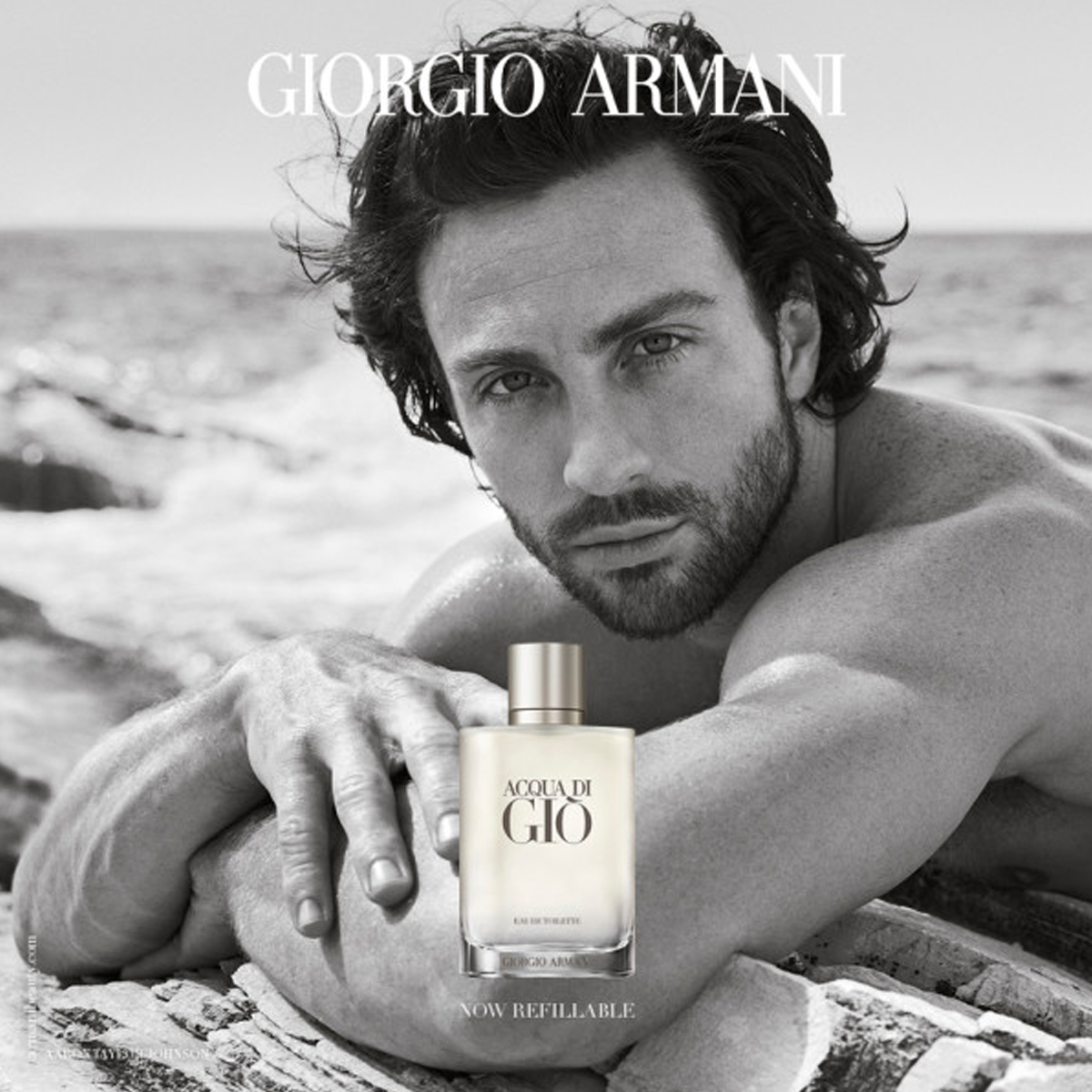 Armani Acqua di Giò Homme Eau de Toilette (EdT) Refillable