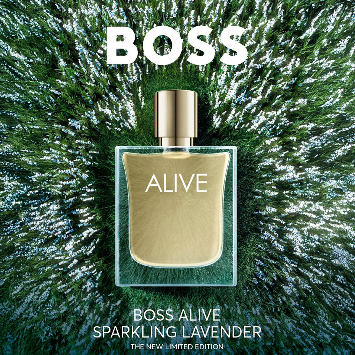 Boss Alive Sparkling Lavender Eau de Parfum (EdP)