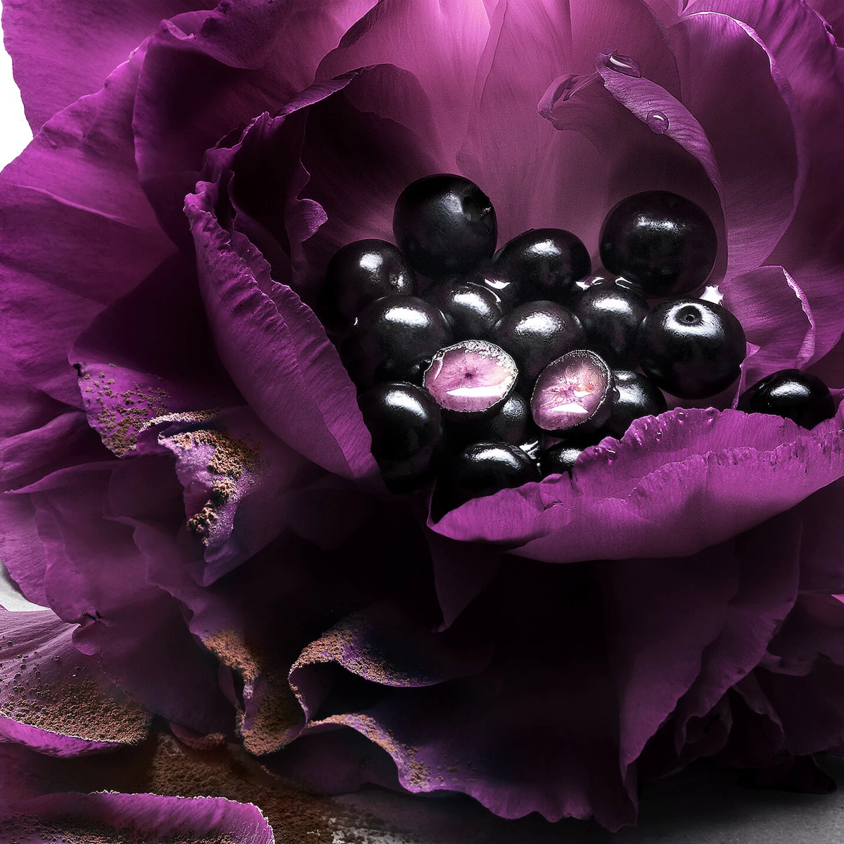 Lancôme La Nuit Trésor Le Parfum Eau de Parfum (EdP)