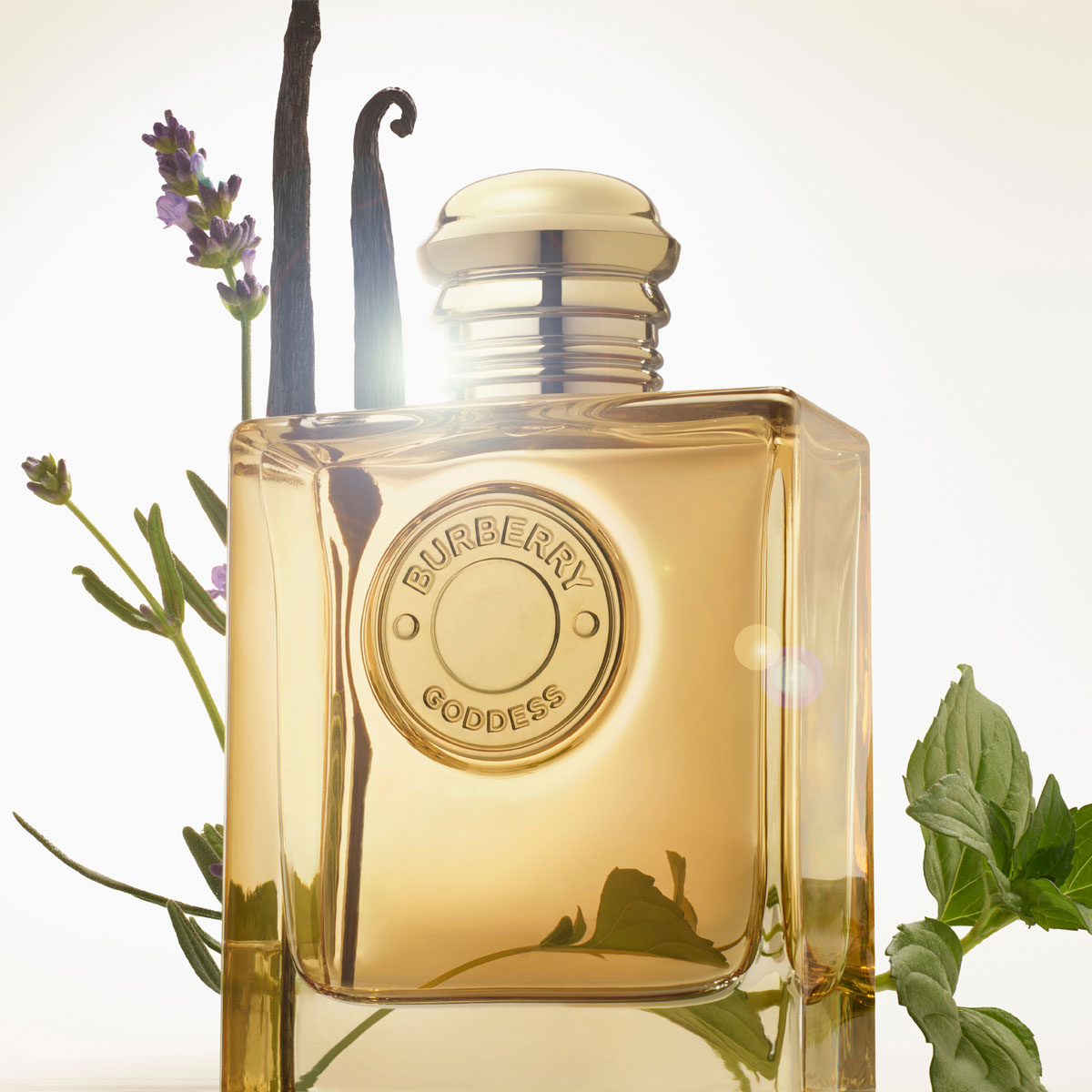 Burberry Goddess Eau de Parfum (EdP) Intense