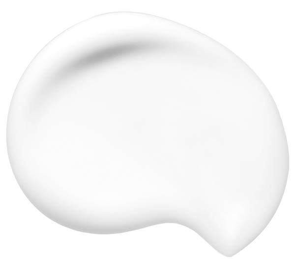 Shiseido Synchro Skin Soft Blurring Primer