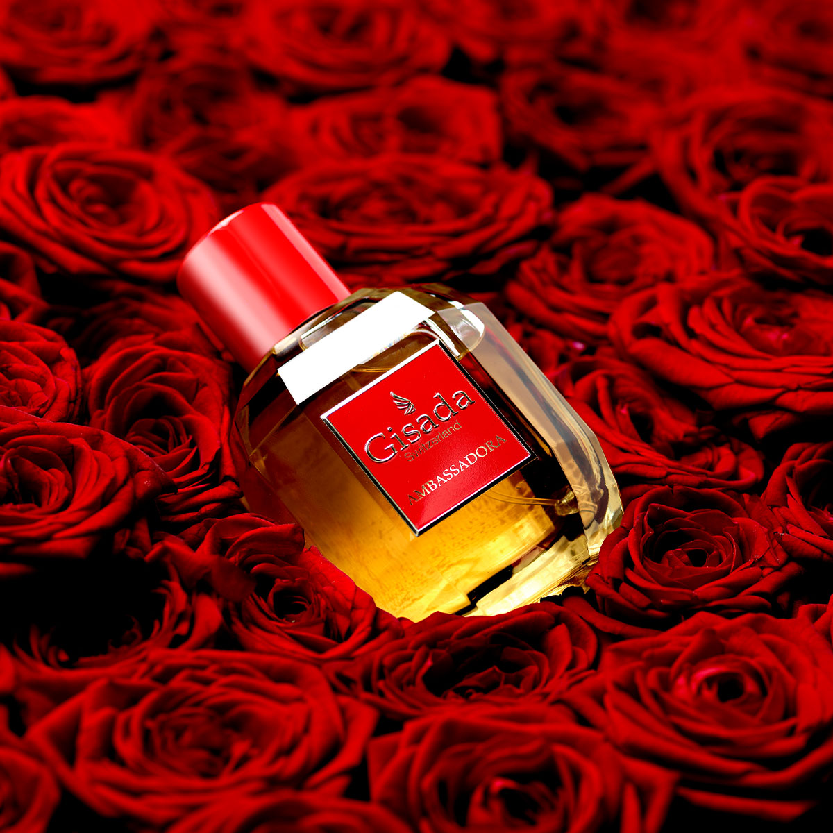 Gisada Ambassadora Eau de Parfum (EdP)
