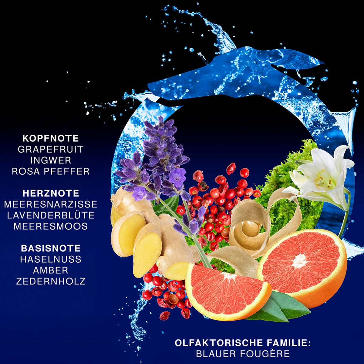 Trussardi Primo Notte Blu Eau de Parfum (EdP)