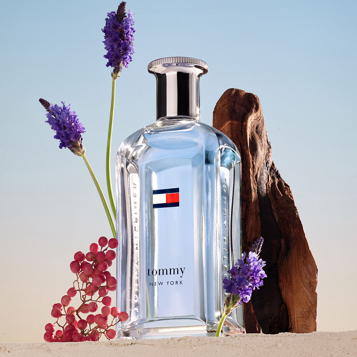 Tommy Hilfiger Tommy New York Eau de Toilette (EdT)