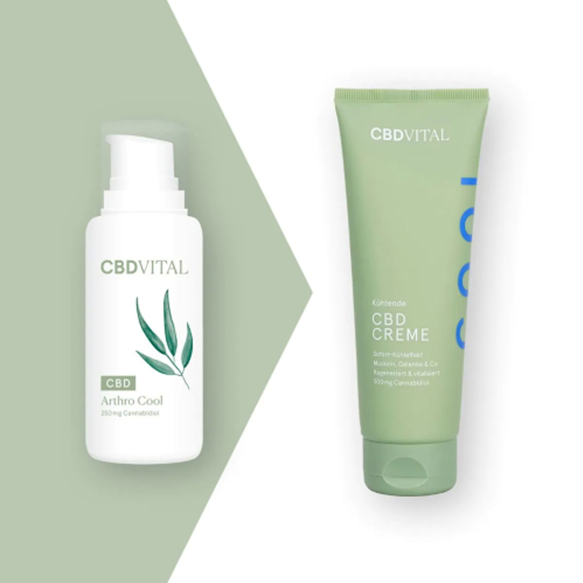 CBD Vital CBD Bio Kosmetik Arthro Cool