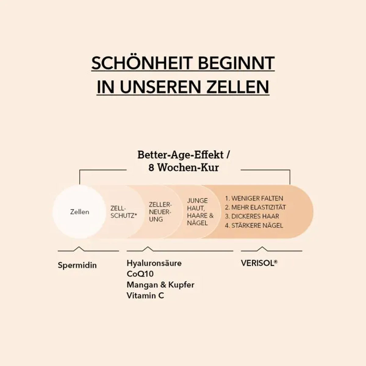 spermidinPLUS Spermidin Kapseln Kollagen Komplex