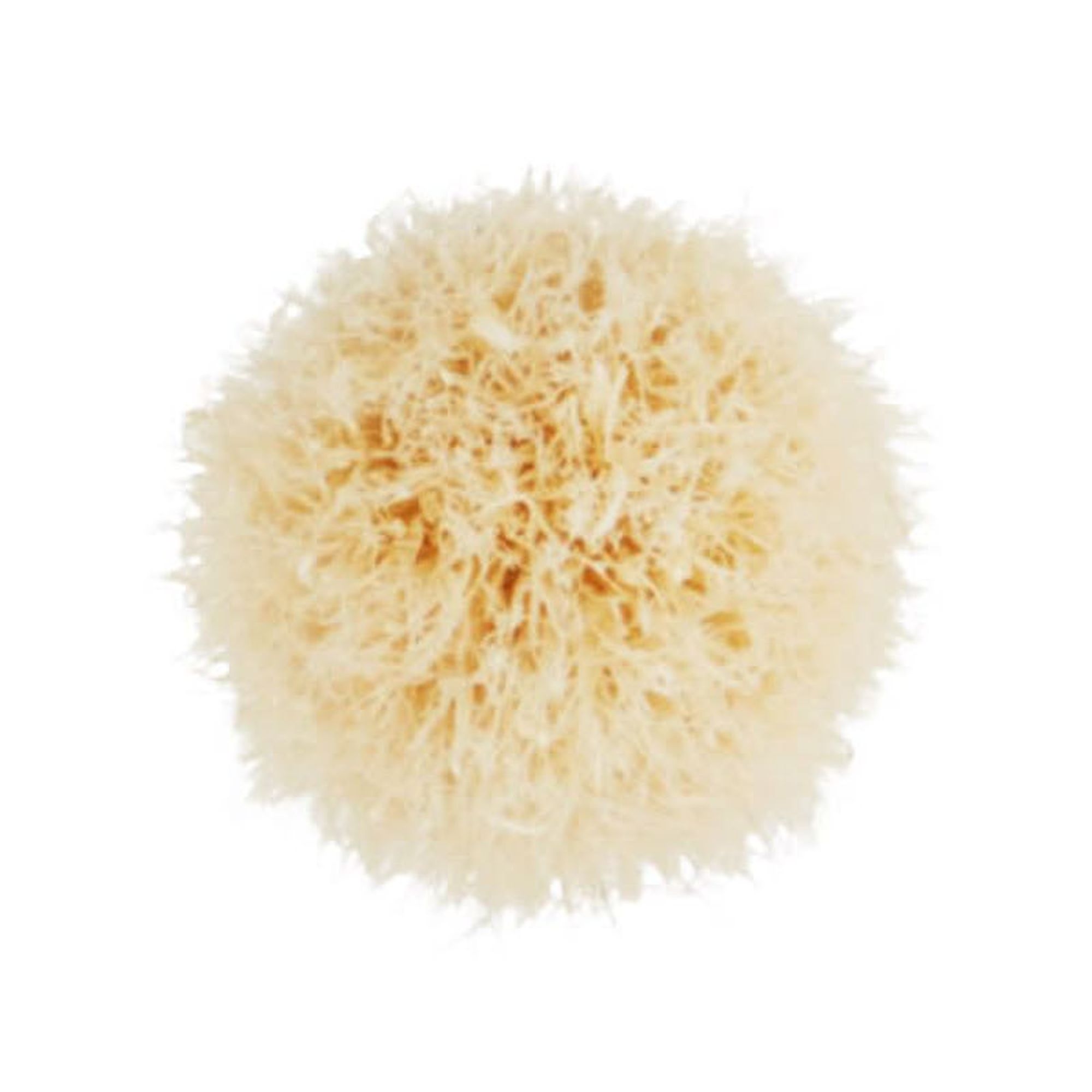 MAC Professional Brush 221S Mini Tapered Blending