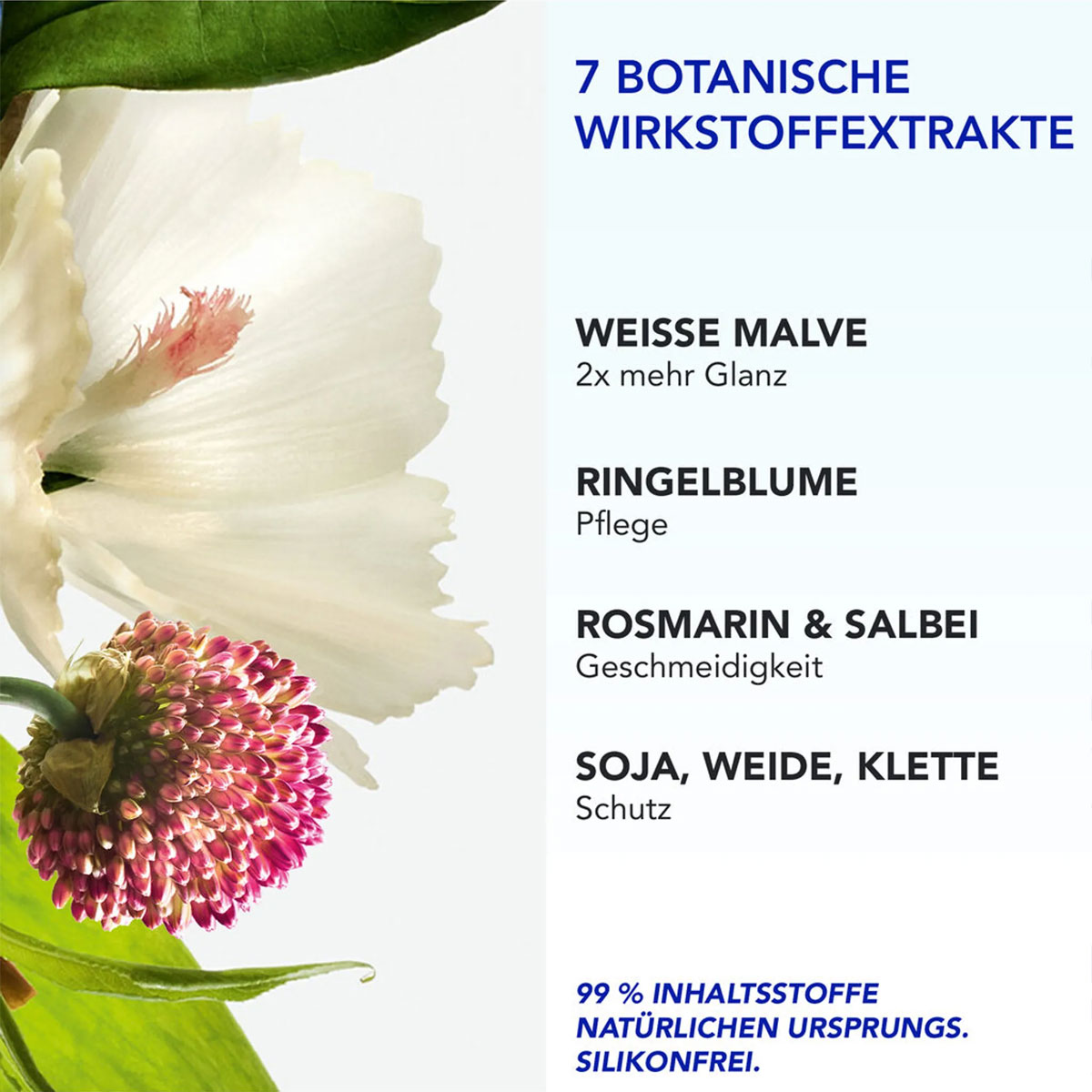 Phyto Nutrition Phyto 7 Elixir Universal Day Cream