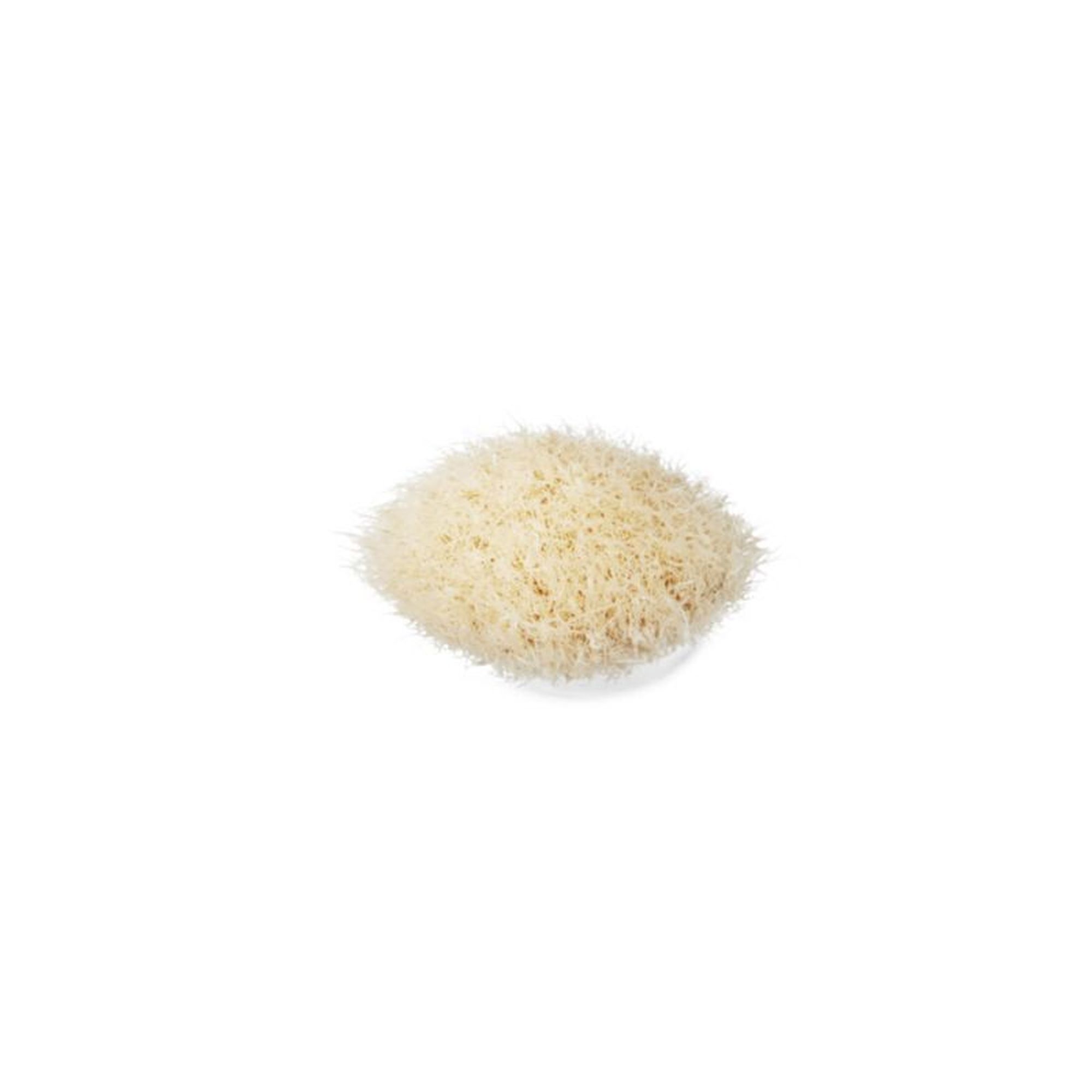 MAC Professional Brush 217S Blending