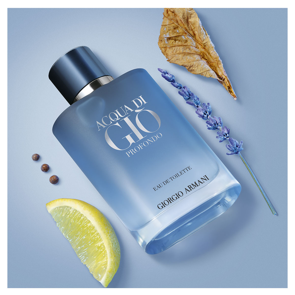 Armani Acqua di Giò Profondo Eau de Toilette (EdT)