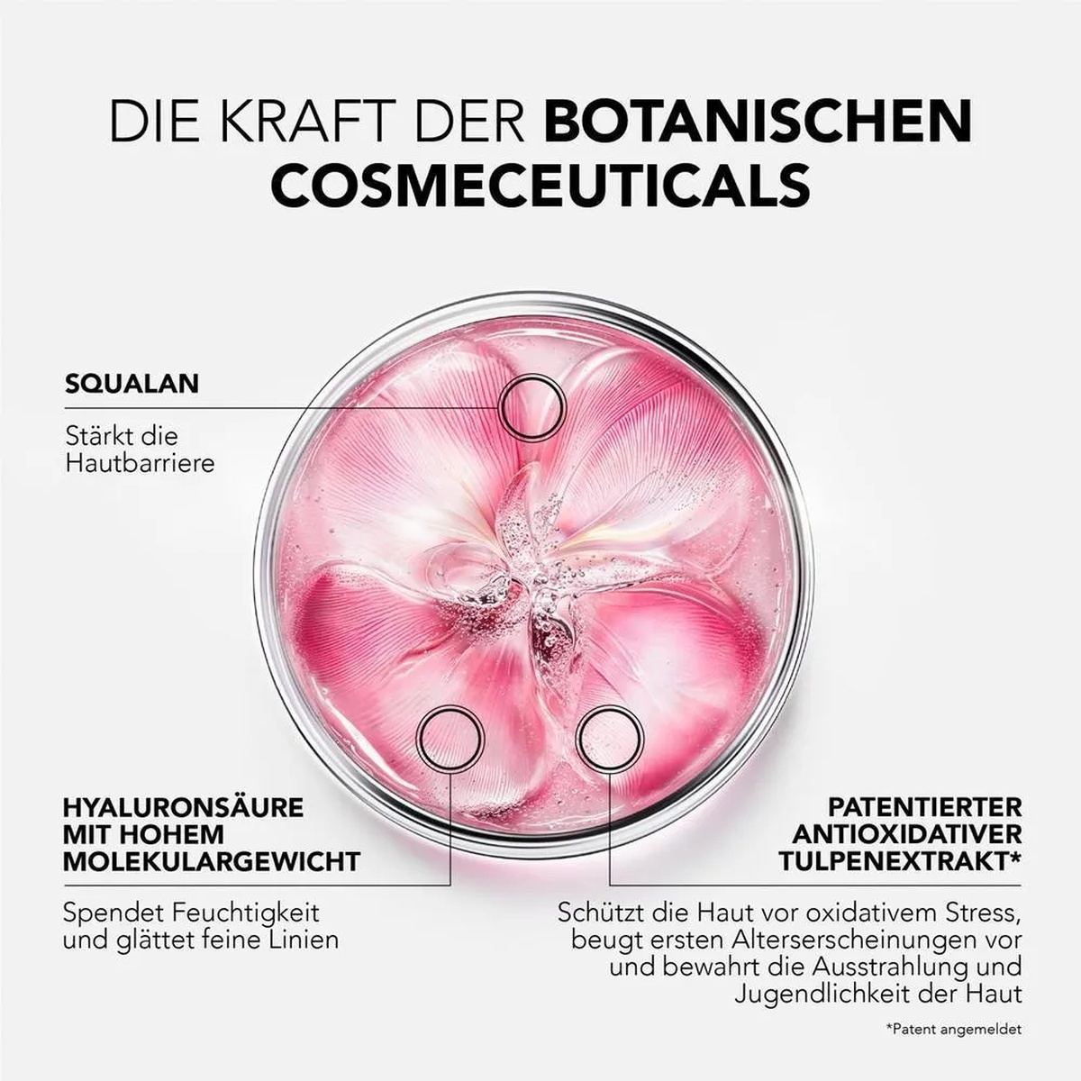 Lierac Glow Fresh The Radiance Plumping Cream
