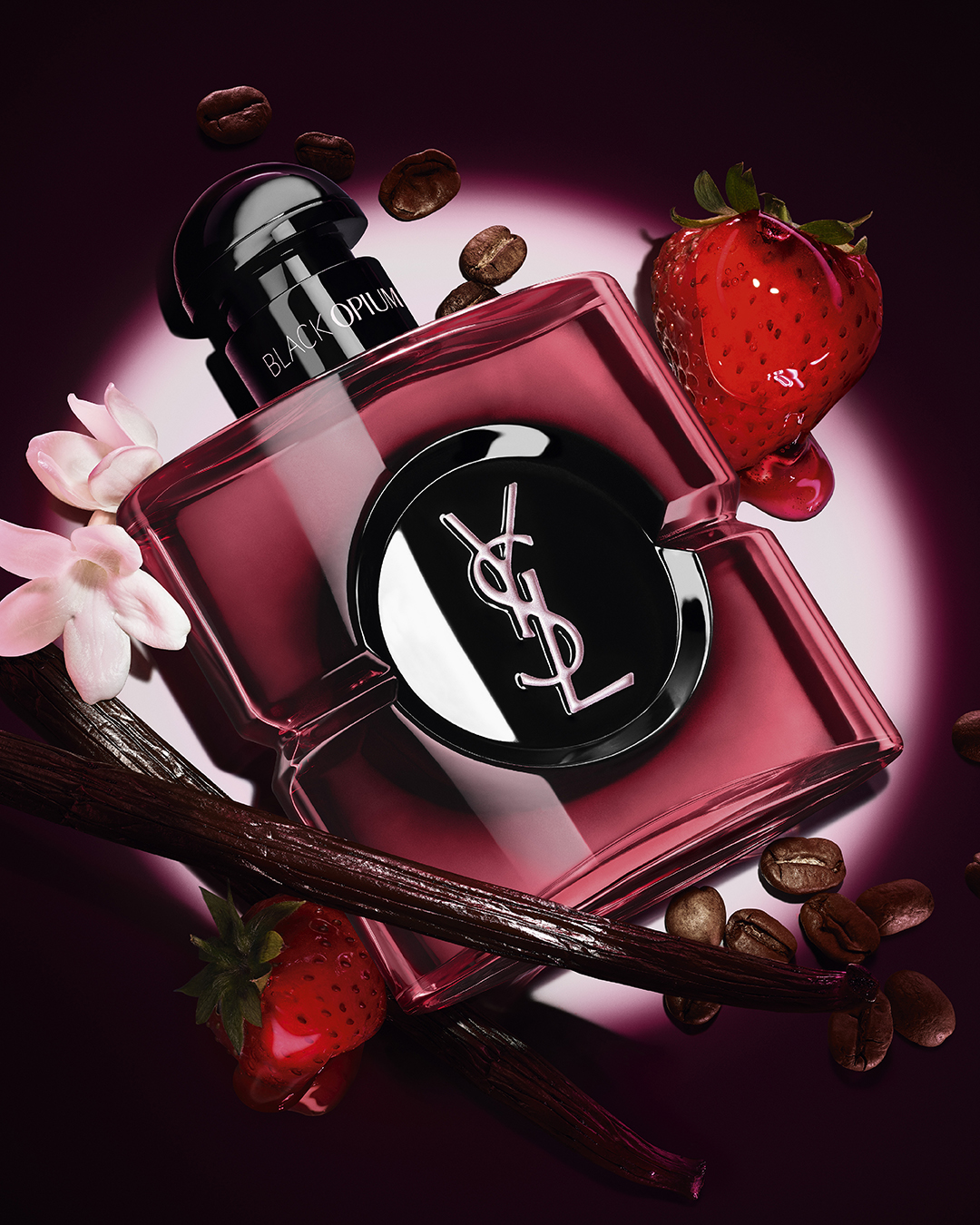 YSL_DM~4