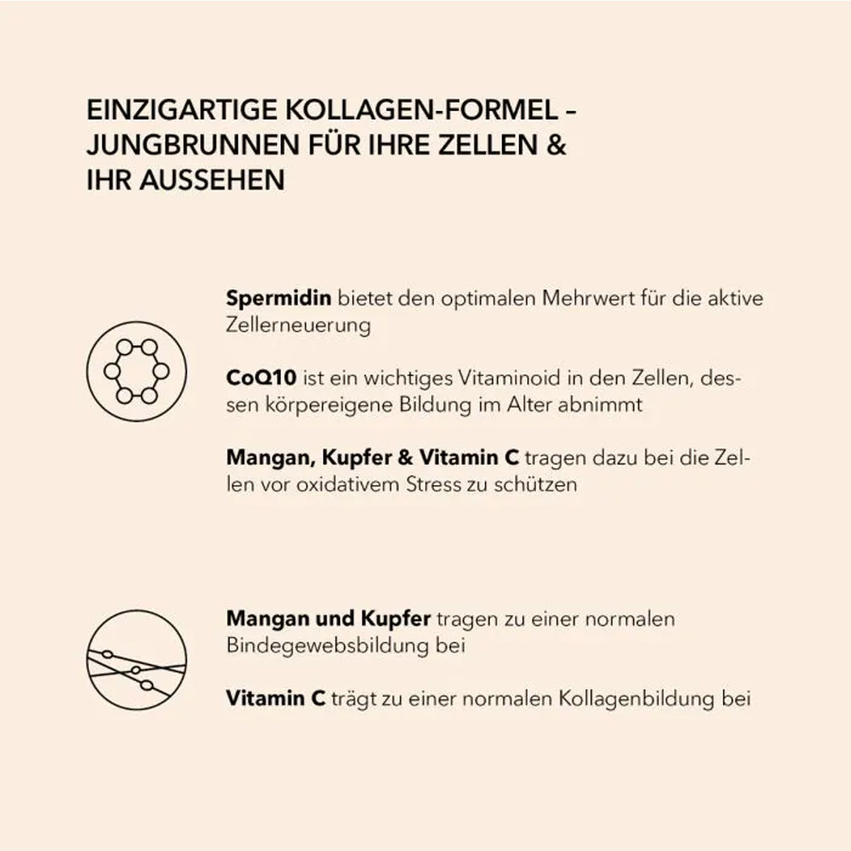 spermidinPLUS Spermidin Kapseln Kollagen Komplex