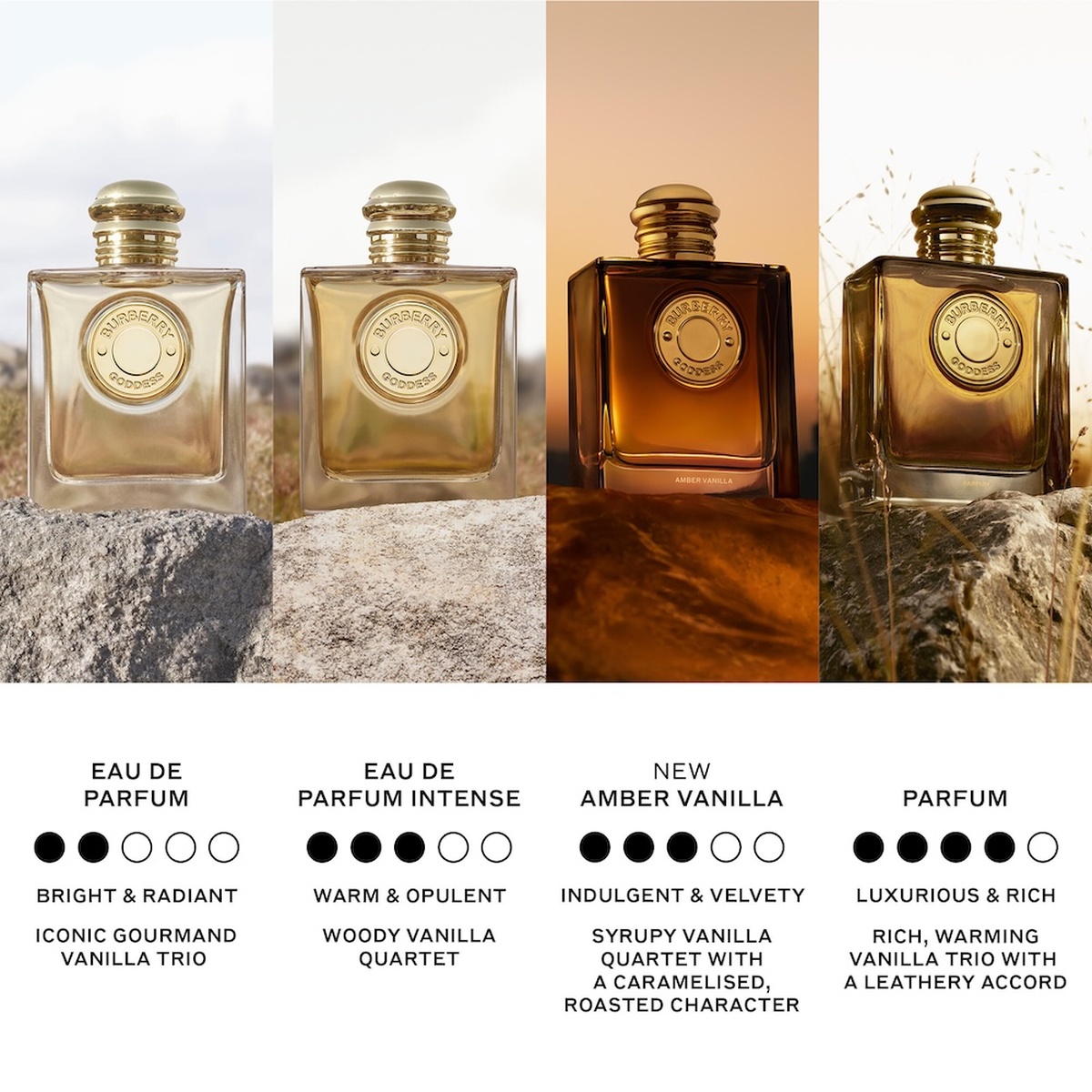 Burberry Goddess Amber Vanilla Eau de Parfum (EdP) Intense