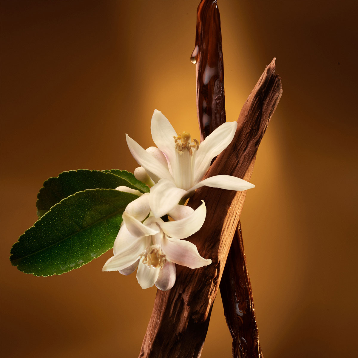 Zadig & Voltaire Zadig L'Intense Refill Eau de Parfum (EdP) Intense