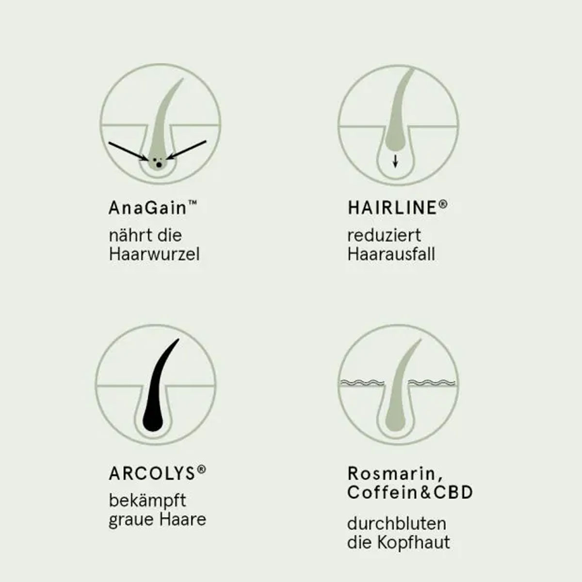 CBD Vital CBD Bio Kosmetik Haar Aktiv Serum